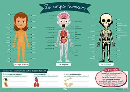 Mes posters d'école: Le corps humain - Dès 8 ans