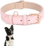 Classic Pink Leather Dog Collar for