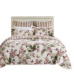 Greenland Home Butterflies Twin Quilt Set