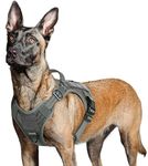 rabbitgoo Tactical Dog Harness No P