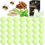 36 Pack Peppermint Oil Wasp & Bee R