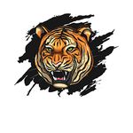 woopme Scratch Tiger Face Car Sticker Exterior Printed Vinyl Decal Sticker for Car Sides Hoods Bumper Rear (9 x 7.2 Inch, Multicoloured)