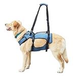 Coodeo Dog Lift Harness, Support & 