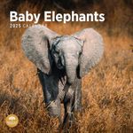 2025 Baby Elephants Monthly Wall Calendar by Bright Day, 12 x 12 Inch Cute Nature Photography Gift