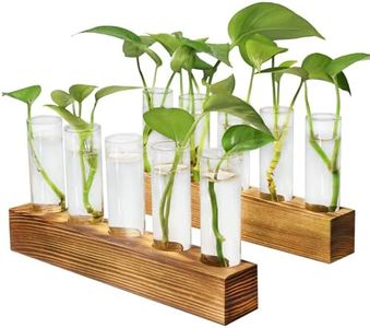 Renmxj Plant Propagation Station, Plant Terrarium with Wooden Stand for Hydroponics Plants Office Decor Unique Gardening Gifts for Women Plants Lovers - 10 Glass Test Tube Vases