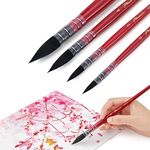 Lightwish Watercolor Brushes Set, S