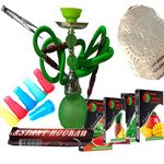 2 Hose Hookah Neon, 12" Height, Cute Shape only Assorted 1 Hookah include 25 foil Paper, Assorted 1 Flavor, Charcoal roll, 5 Tips, Tong, Assorted color, - (2 Hose Same Like Picture & Assorted Flavor)