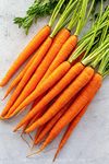 Fresh Carrots