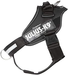 Julius-K9, IDC Powerharness, Dog Harness with Front Control Y-Belt, Size: XL/2, Black