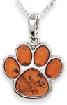 Natural Amber Sterling Silver PAWPR