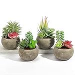 SPEPLA Succulents Plants Artificial 4 Pack, Mini Fake Succulents in Pots, Assorted Small Faux Succulent Decorative for Living Room Home Office Decor