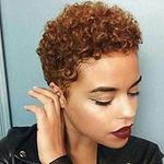 Nicelatus Short Afro Curly Haircuts For Women African American Short Wigs For Black Women Short Brown Curly Hairstyle