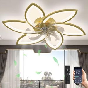 LED Decken