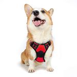 rabbitgoo Dog Harness Medium No Pull Pet Harness with 2 Leash Clips, Adjustable Soft Padded Pet Vest Harness, Reflective No-Choke with Easy Control Handle for Training or Walking, Red, M