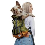 K9 Sport Sack | Urban 3 Backpack, Leaf - S