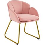 Yaheetech Velvet Tub Chair Vanity Chair, Modern Accent Armchair Lounge Chair Single Sofa with Golden Mental Legs for Living Room/Bedroom/Makeup, Pink