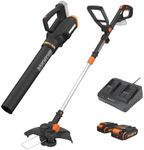 Worx 20V G