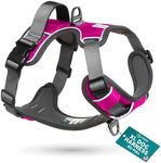 Embark Adventure XL Dog Harness No-