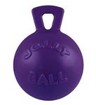 Jolly Pets 8-Inch Tug-n-Toss, Purple