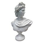 Design Toscano PD72520 Apollo Belvedere Bust Statue, 30 cm, Bonded Marble Polyresin, White