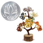 Reiki Crystal Products 7 Chakra Tree 500 Bead with Selenite Charging Plate