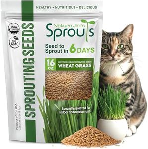 Nature Jims Sprouts Wheatgrass Seeds - 100% Organic Wheat Grass Seed for Sprouting - Cat Grass Planter Seeds, Rich in Vitamins, Fiber and Minerals - Non-GMO, Healthy Wheatgrass Sprout Growing Seed