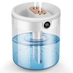 Humidifier With Ions