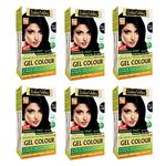 INDUS VALLEY Damage Free Natural Gel Hair Colour for Women | Ammonia & PPD Free Organic Hair Colour with 100% Grey Coverage, Long Lasting Conditioning Hair Color | Black 1.00 - Pack of 6