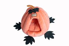 Armarkat Cat Bed Model C85CCS Pumpkin Shape, Orange, 20 x 20 x 16