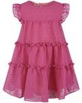 AGQT Flower Girls Ruffle Dress Loose Fit Swiss Dots Flowy Pleated Dress Summer Babydoll Chiffon Dress Rose Red Size 2-3T