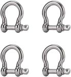 Screw Pin Anchor Shackle 5/16 Inch 