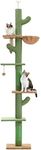 PAWZ Road Cactus Cat Tree Floor to 