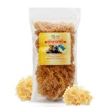 Organic Gold Irish Sea Moss (8 oz) - Dr. Sebi Inspired - Making 120+ oz of Gel | Wildcrafted | Enriched with Minerals & Nutrients