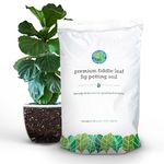 Fiddle Leaf Fig Plant Soil - Fig Leaf Tree Soil with Great Drainage - Beginner Friendly Mix for Indoor Plants - Fiddle Leaf Fig Plant Food - Soil for Fast Growth - Houseplant Resource Center