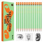 Arrtx Drawing Pencils, 14 Pcs HB Artist Sketching Pencils for Drawing, Art Pencils, Graphite Pencils Art Supplies for Drawing Writing Shading Doodling Portraits