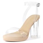 ZriEy 4-Inch Platform Clear High Heels for Women Block Chunky Heeled Sandals Open Toe Ankle Strap Heels Wedding Party Evening Prom Dress Pump Sandal Shoes, Nude Clear, 5