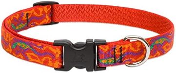 LupinePet Originals 3/4" Go Go Geck