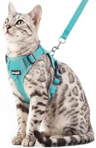 pangdi Cat Harness and Leash Escape Proof Small Kitten Harness Abyssinian Cat Vest for Walking Travel, Turquoise, S