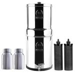 Phoenix Gravity 6L Gravity Fed Stainless Steel Water Filter with 2 POSTreat Fluoride Reduction Element and Carbon Cartridges with Stainless Steel Tap