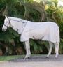 Horseware® Amigo® Integrated Fly Sheet - Silver/Titanium Grey & Silver, 75