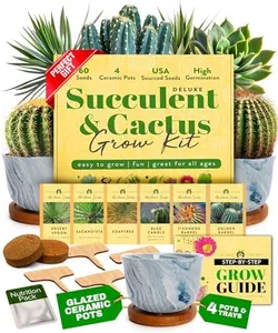 HOME GROWN Deluxe Succulent & Cactus Seed Grow Kit - Complete Indoor Plant Kit with Cactus Seeds, Potting Soil, Ceramic Pots, Drip Trays, and Grow Guide for Plant Enthusiasts