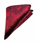 VOICI France Men's Pocket Square Satin Microfiber Silver Grey Color Free Size (Red)