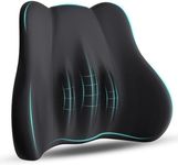 kasney Lumbar Support Pillow, Memory Foam Lumbar Pillow for Lower Back Pain Relief, Back Support Pillow for Office Chair, Car Seat - Black