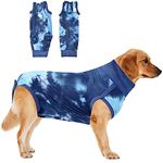 Dog Surgical Recovery Suit, Pets Abdominal Wound Protector Puppy Medical Surgical Clothes Prevent Licking, Dog After Surgery Vest Bodysuit Castration Medical Pet Shirt, Cone E-Collar Alternative (L)