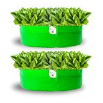 ORGANIC BAZAR 24x6 Leafy Grow Bag for Terrace Garden, Premium HDPE 260 GSM Green Plant Bags for Leafy Vegetables (Pack of 2)