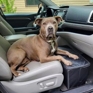 Front Seat Dog Extender and Car Storage | Prevents Your Dog from Falling Off The Front Seat While Driving | Travel Accessories for Pets | Extender and Car Accessories | Pet Platform