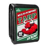 Tarp 15x30 ft Heavy Duty 100% Waterproof 10mil,UV Resistant,Durable Grommets and Reinforced Edges Green/Black Tarp for Camping, Swimming Pools,Car Coverage -by MVPNET