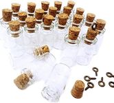 (100) - LEFV 100 Mini Glass Bottles