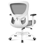 Razzor Office Chair Ergonomic Desk Chair with Adjustable Lumbar Support, Swivel Comfy Computer Chair Heavy Duty Executive Chair for Home Office (LightGray)