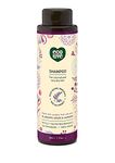 Purple : ecoLove Purple Collection Shampoo for colored and very dry hair - Blueberry, Grape & Lavender. 100% VEGAN (17.6 Oz)